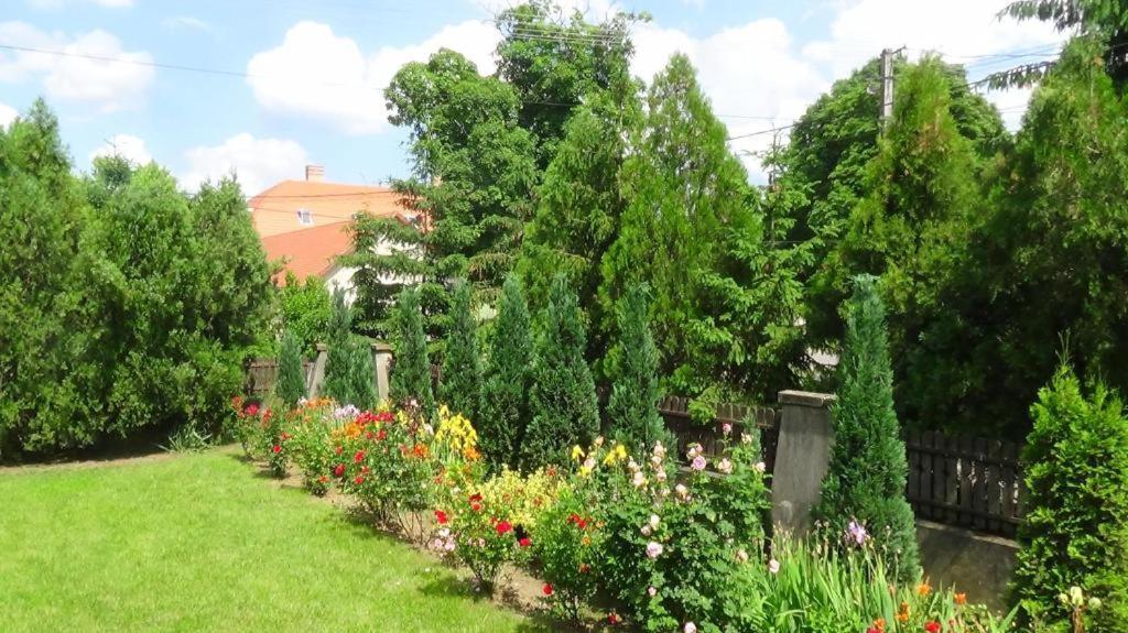 Hotel Rozsakert Vendeghaz Romhány Exteriér fotografie